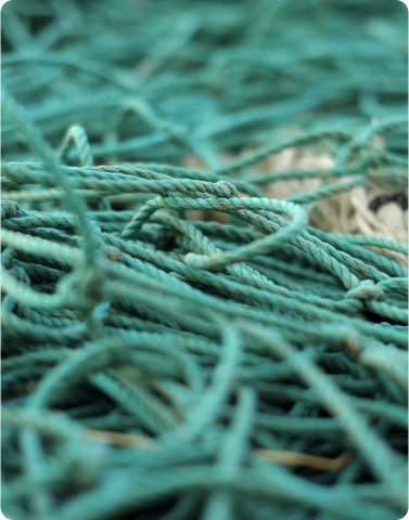 Green ropes Image
